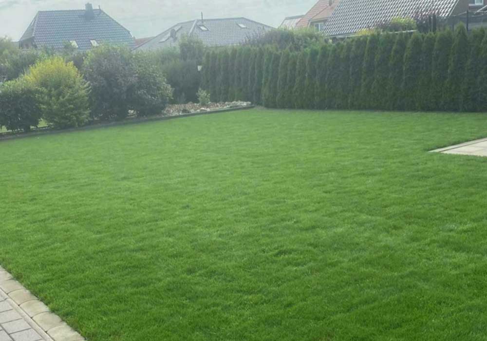 Rasenerneuerung_04